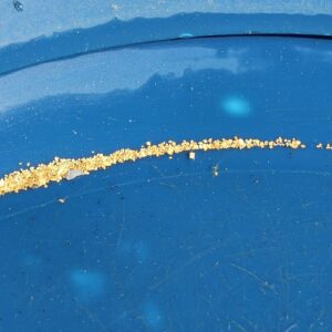 Half-day Gold Panning Tour - NSW Southern Tablelands - Sat 28th Mar 2026